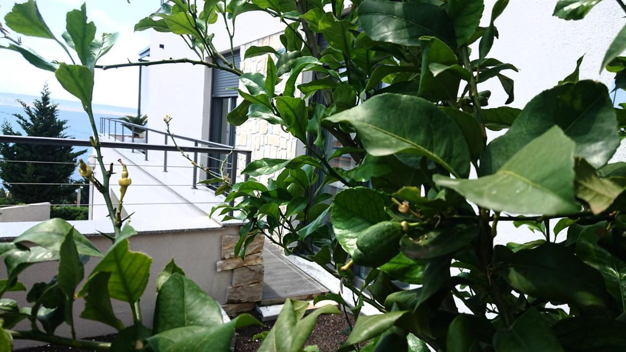 Villa Horizon Starigrad Paklenica Extérieur photo